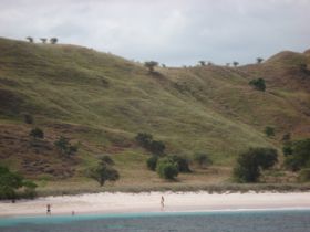 Komodo_Strand.JPG