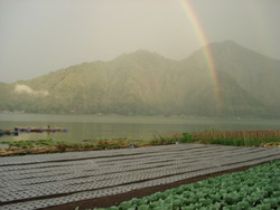 Mount Batur