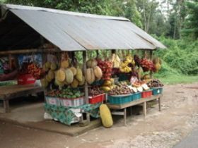 Fruitstalletje